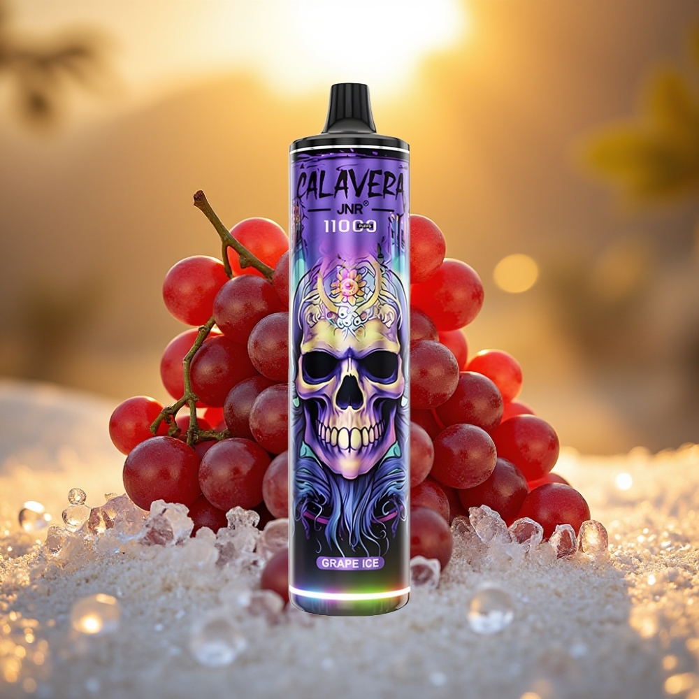 JNR Calavera 11000 Puffs Type-C 850mAh 21ml Glace à la Raisin 1.0ohm