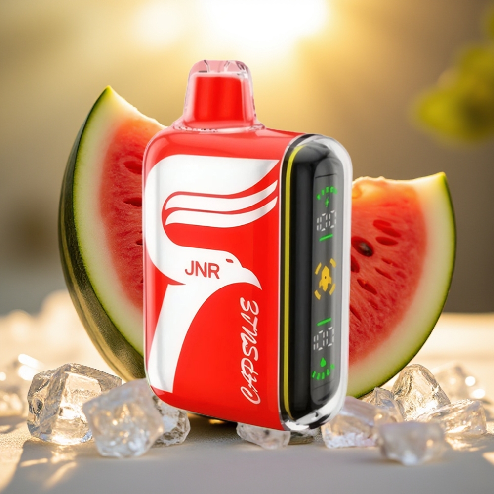 JNR Capsule 15000 Puffs Pastèque Glacée - 20ml, 850mAh, Double Mesh