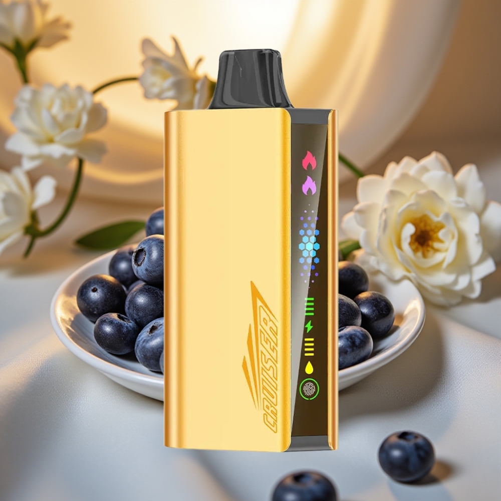 JNR Cruiser 12000 Puffs Sans Recharge Explosion de Myrtille - 25ml, 3500mAh, 1.2ohm