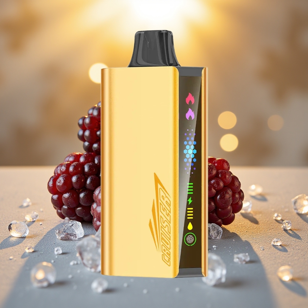 JNR Cruiser 12000 Puffs Sans Recharge Mûre Glacée - 25ml, 50mg/mL, Dual Mesh 1.2ohm