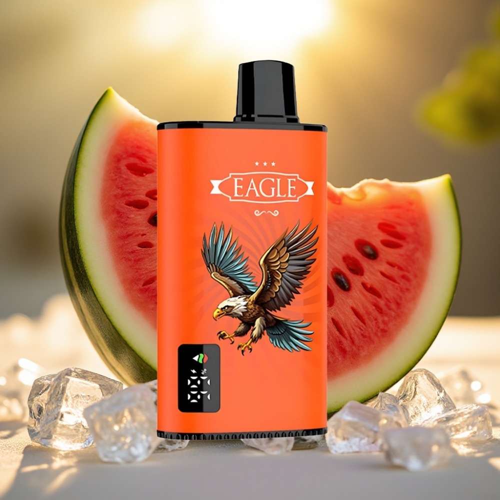 JNR EAGLE Smart 23000 Puffs Pastèque Glacée - Écran Digital, Airflow Réglable, 25ml