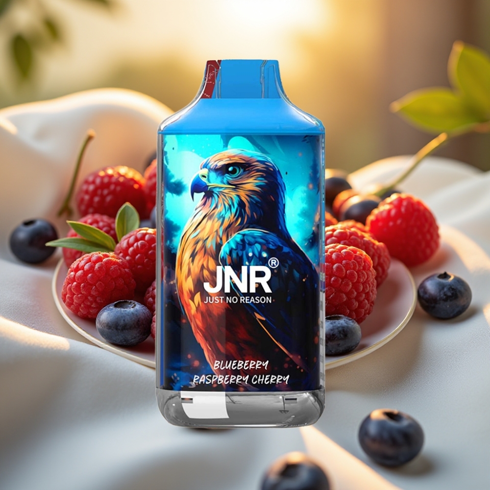 JNR Falcon 16000 Puffs Myrtille Framboise Cerise 850mAh Type C Dual Mesh Coil