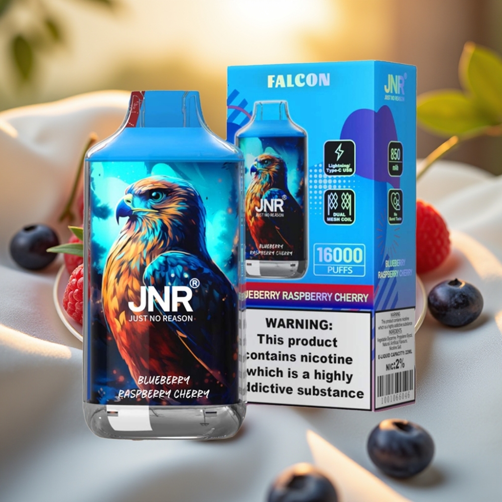 JNR Falcon 16000 Puffs Myrtille Framboise Cerise 850mAh Type C Dual Mesh Coil