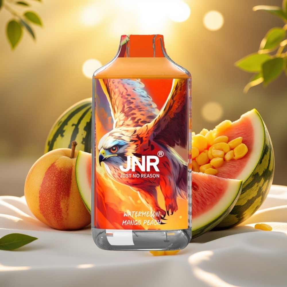 JNR Falcon 16000 Puffs Pastèque Mangue Pêche - 22ml, Dual Mesh, Type C