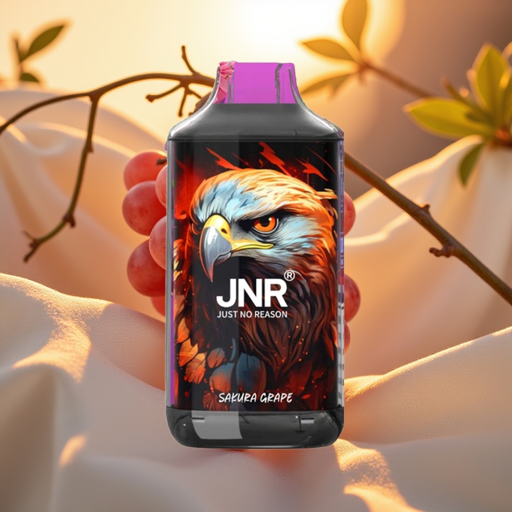 JNR Falcon Sakura Raisin 16000 Puffs 850mAh 22ml Dual Mesh Coil