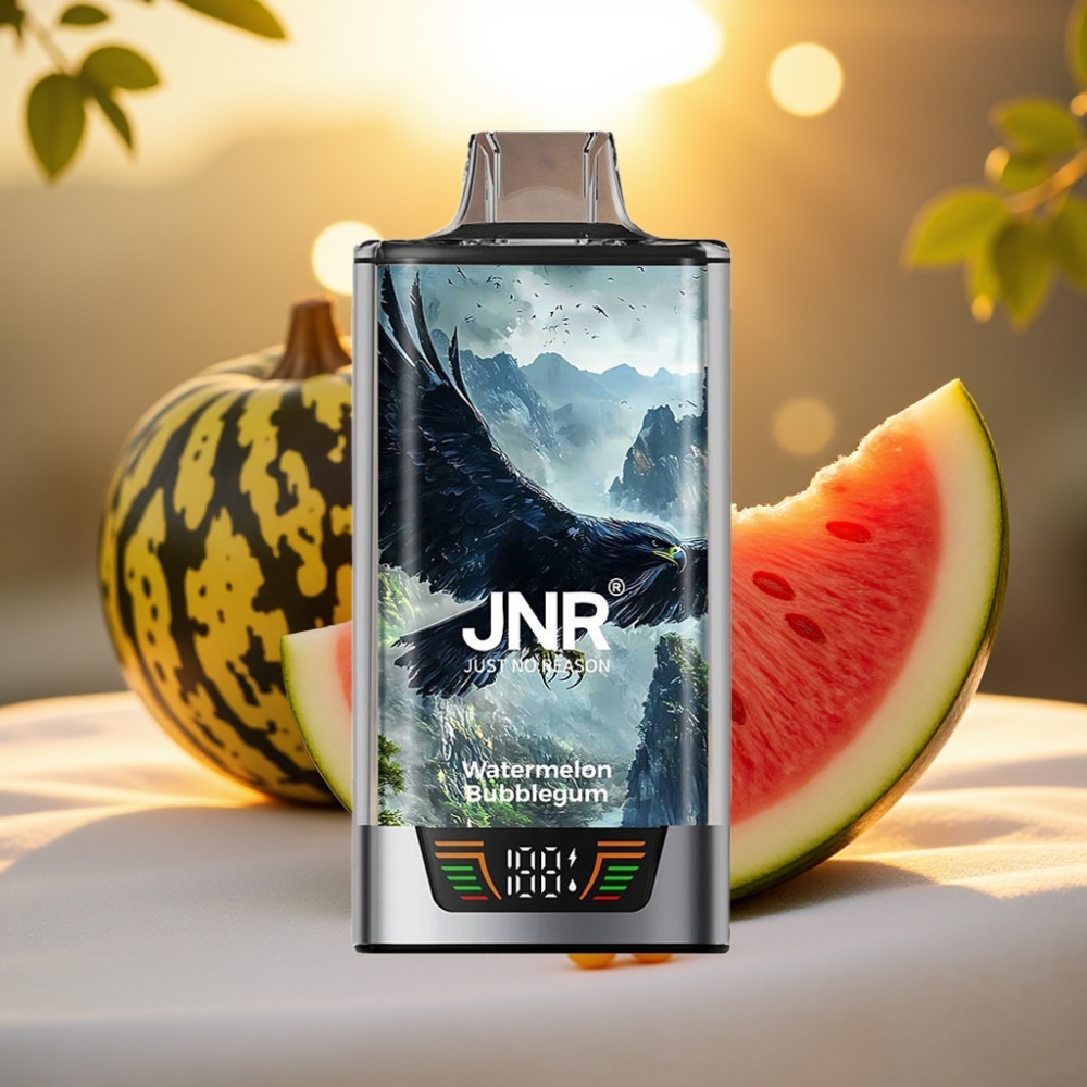 JNR Falcon Pro 28000 Disposable Vape Bubblegum Pastèque 30ml 5% 28000 Puffs