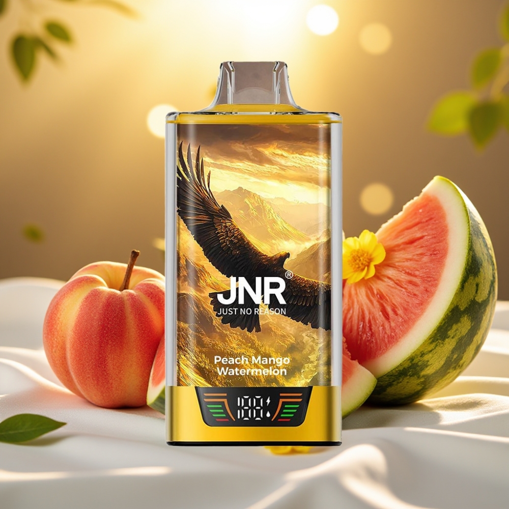 JNR Falcon Pro 28000 Pêche Mangue Pastèque 30ml 950mAh 5%