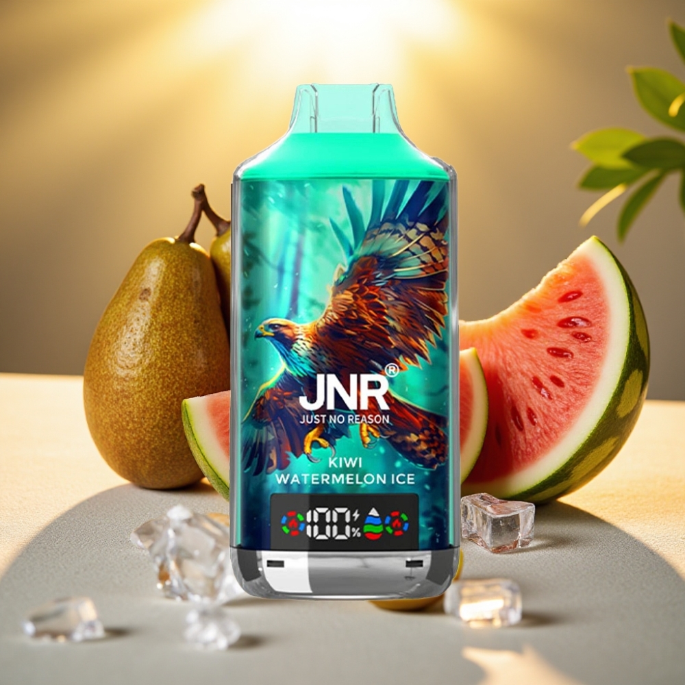 JNR Falcon X 18000 Puffs Kiwi Pastèque Glacée 24ml 750mAh Dual Mesh