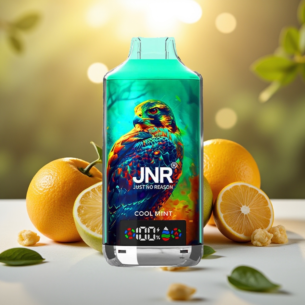 JNR Falcon X 18000 Puffs Menthe Fraîche 24ml 750mAh Dual Mesh