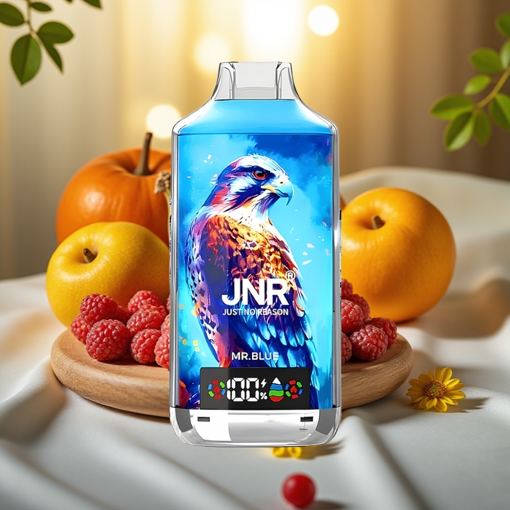 JNR Falcon X 18000 Puffs Mr. Bleu - 24ml, Dual Mesh Coil, Type-C