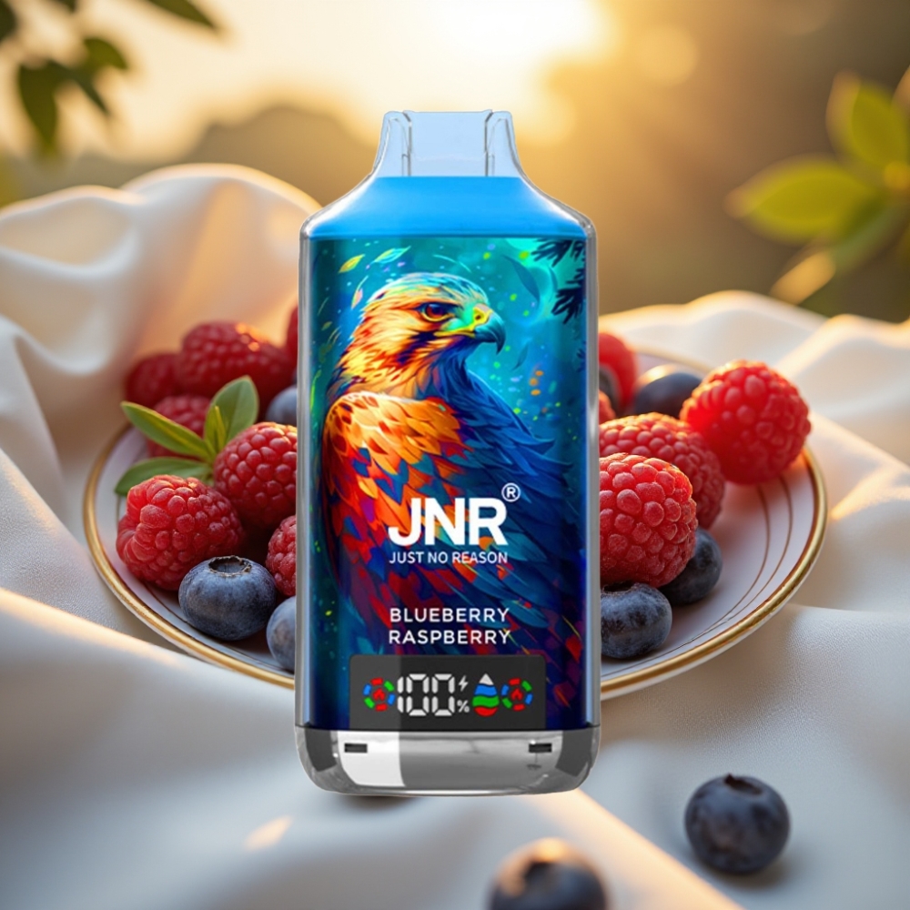 JNR Falcon X 18000 Puffs Myrtille Framboise 24ml 750mAh Dual Mesh Coil