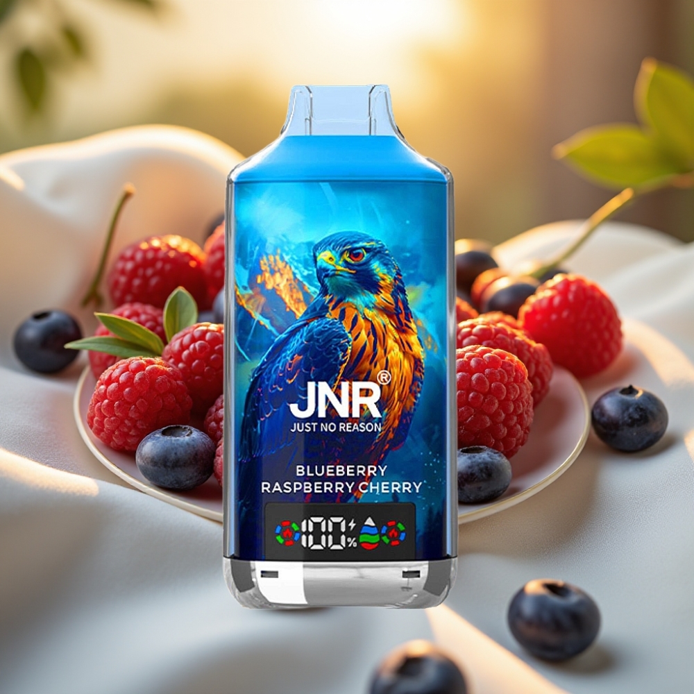 JNR Falcon X 18000 Puffs Myrtille Framboise Cerise 24ml 750mAh Dual Mesh