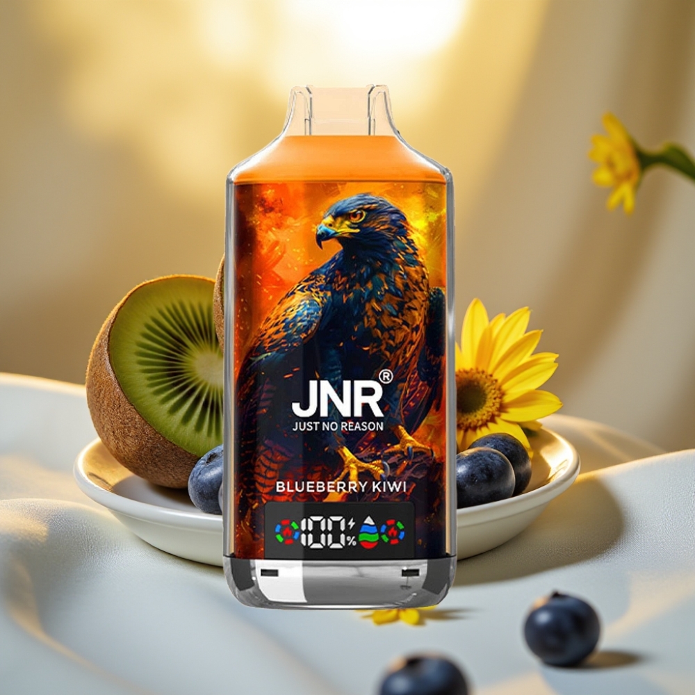 JNR Falcon X 18000 Puffs Myrtille Kiwi 24ml 750mAh Dual Mesh Coil Type-C