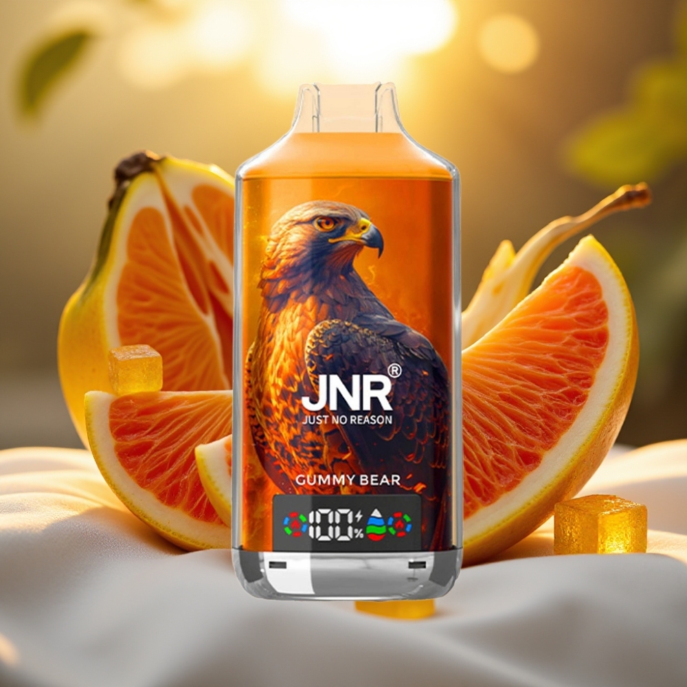 JNR Falcon X 18000 Puffs Ourson Gélifié 24ml 750mAh Dual Mesh Coil