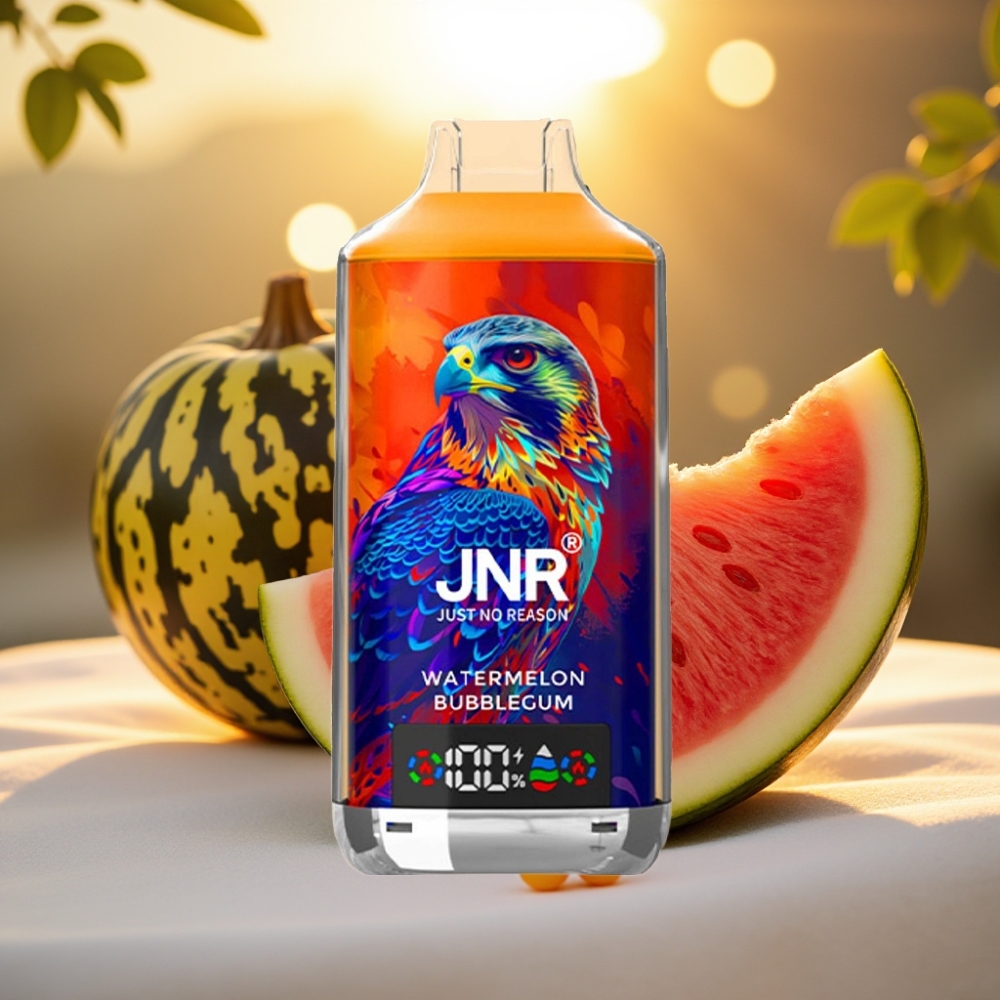 JNR Falcon X 18000 Puffs Pastèque Bubblegum 24ml 750mAh Dual Mesh Coil Type-C