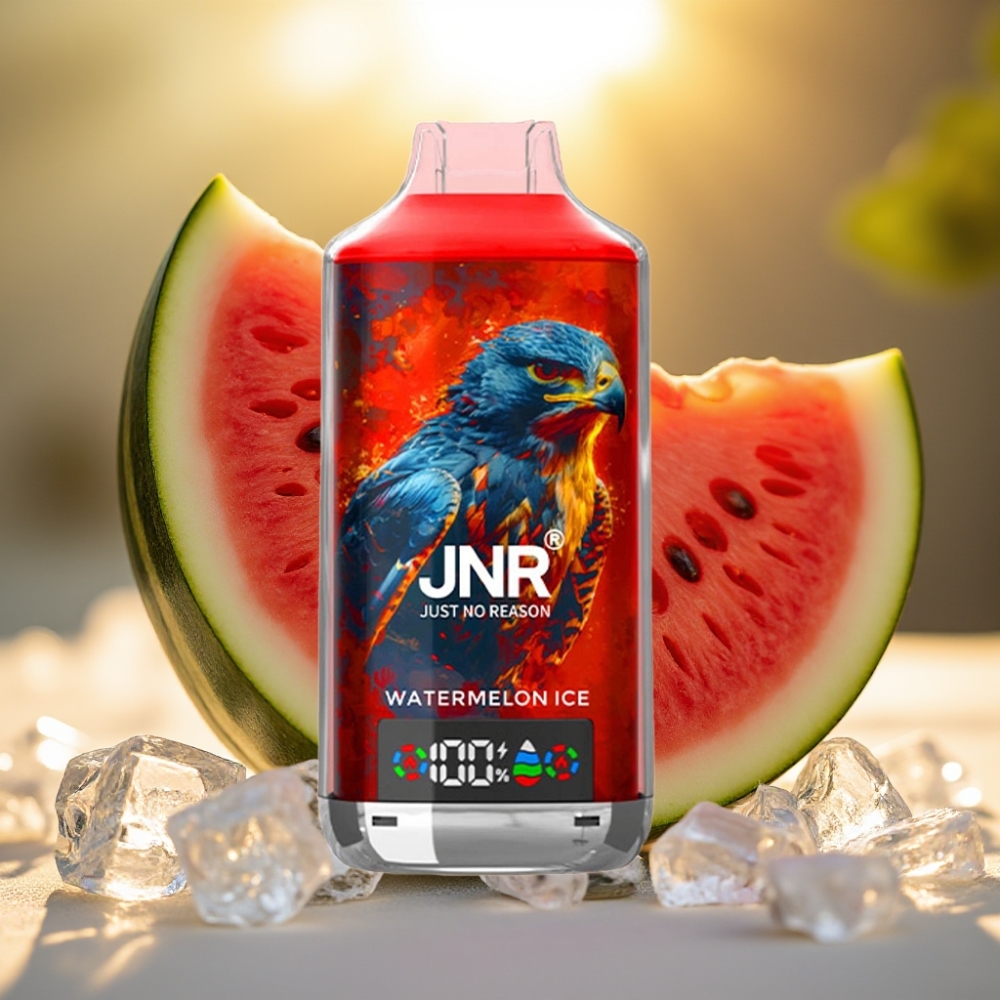 JNR Falcon X 18000 Puffs Pastèque Glacée 24ml 750mAh Dual Mesh Coil Type-C