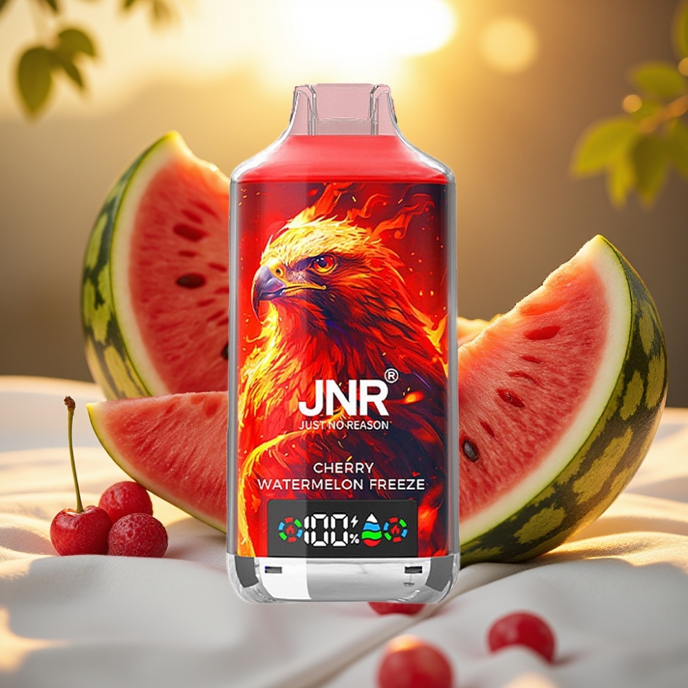 JNR Falcon X Cerise Pastèque Glaciale 18000 Puffs 24ml 750mAh Dual Mesh