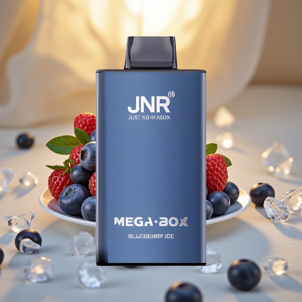 JNR Mega Box 25000 Puffs Bluebaie Glacée 30ml 850mAh Dual Mesh