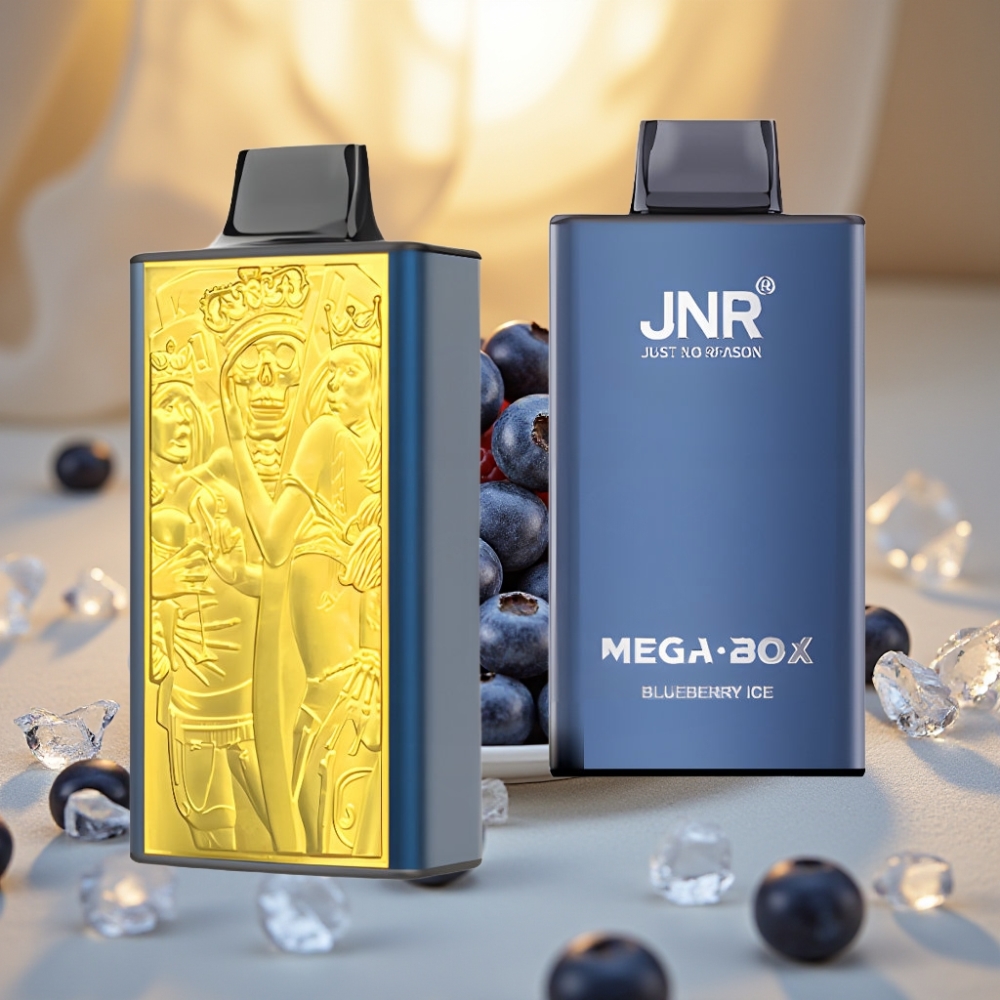 JNR Mega Box 25000 Puffs Bluebaie Glacée 30ml 850mAh Dual Mesh