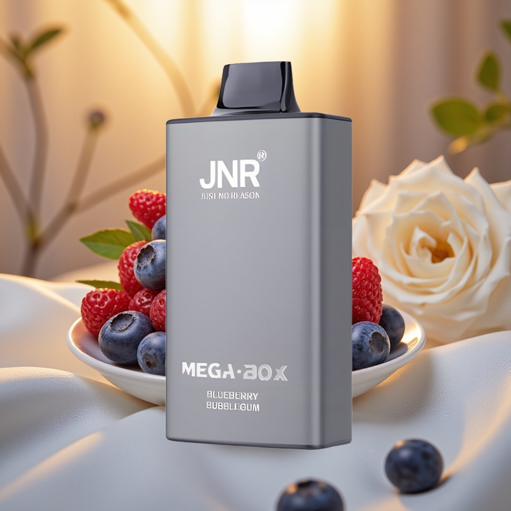 JNR Mega Box 25000 Puffs Disposable Vape Chewing-gum Myrtille – 30ml, 850mAh, Dual Mesh