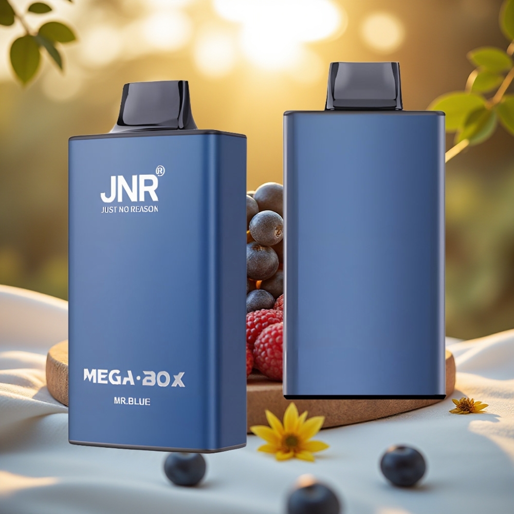 JNR Mega Box 25000 Puffs Disposable Vape Monsieur Bleu - 30ml, Dual Mesh, Type-C