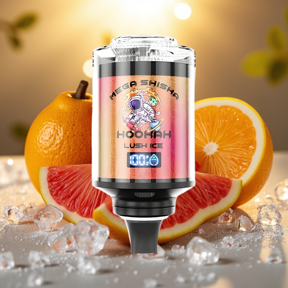 JNR Mega Shisha Hookah Compatible Bureau 100000 bouffées 60ml Glace Givrée