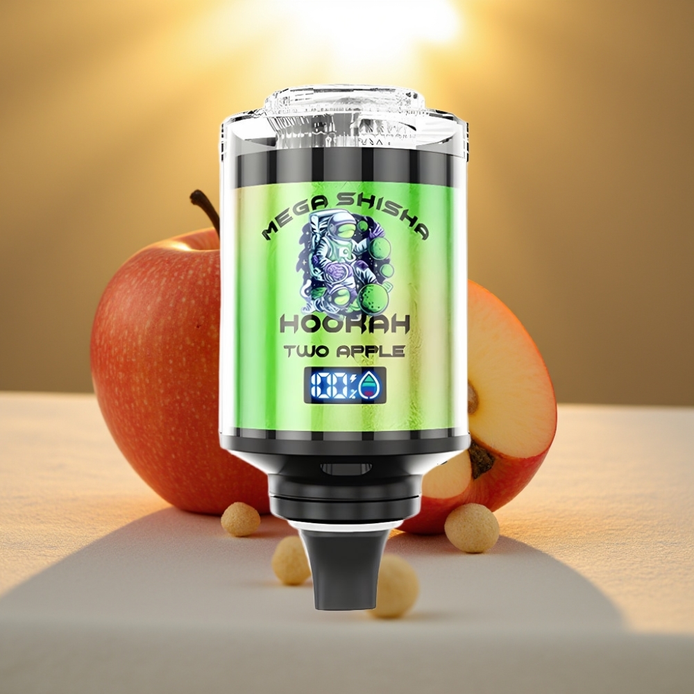 JNR Mega Shisha Hookah Desktop Compatibilité 100000 bouffées 60ml 2200mAh Deux Pommes
