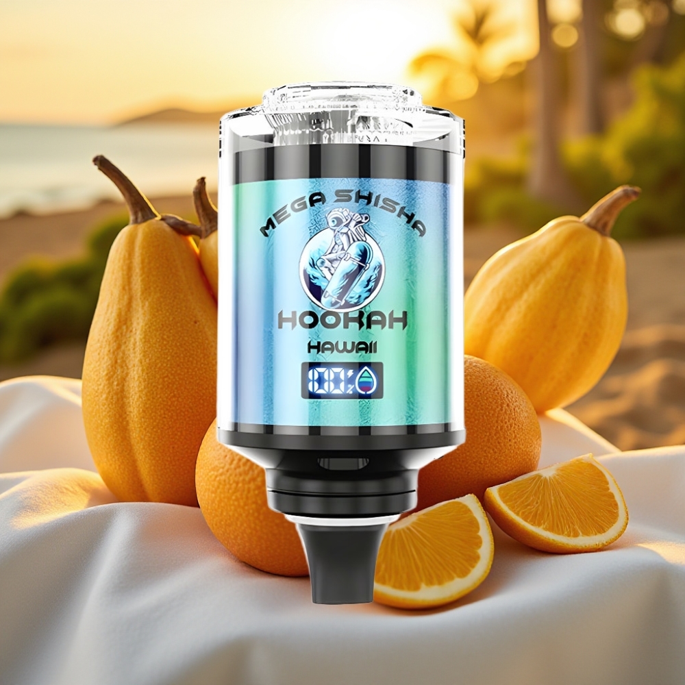 JNR Mega Shisha Hookah Desktop Compatibilité 100000 puffs 60ml Hawaii