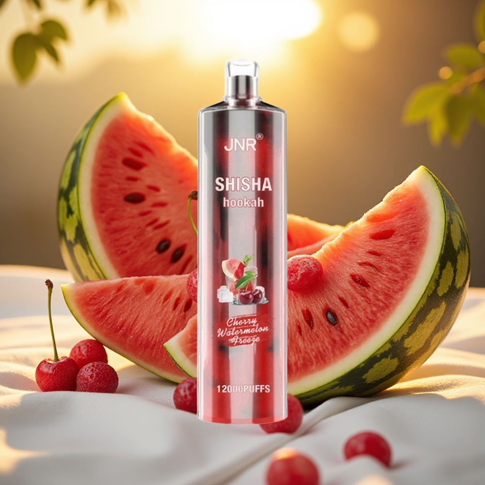 JNR Shisha Hookah 12000 Puffs Cerise Pastèque Glacée 24ml 750mAh Type-C