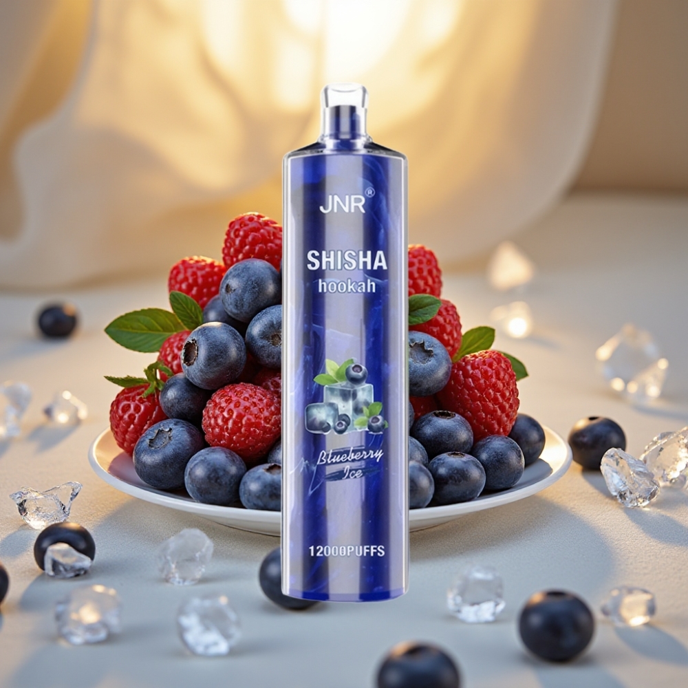 JNR Shisha Hookah 12000 Puffs Glace Myrtille 24ml 750mAh Type-C