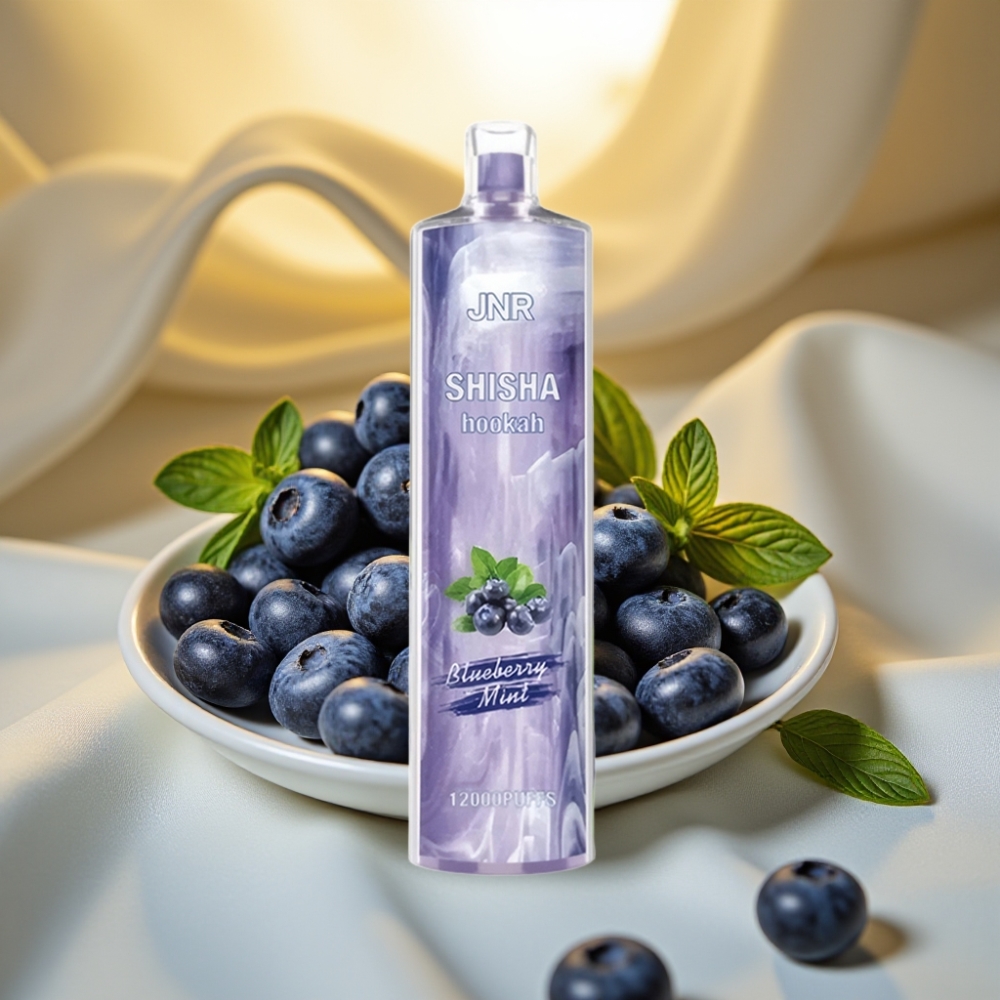 JNR Shisha Hookah 12000 Puffs Menthe Myrtille 24ml 750mAh Type-C