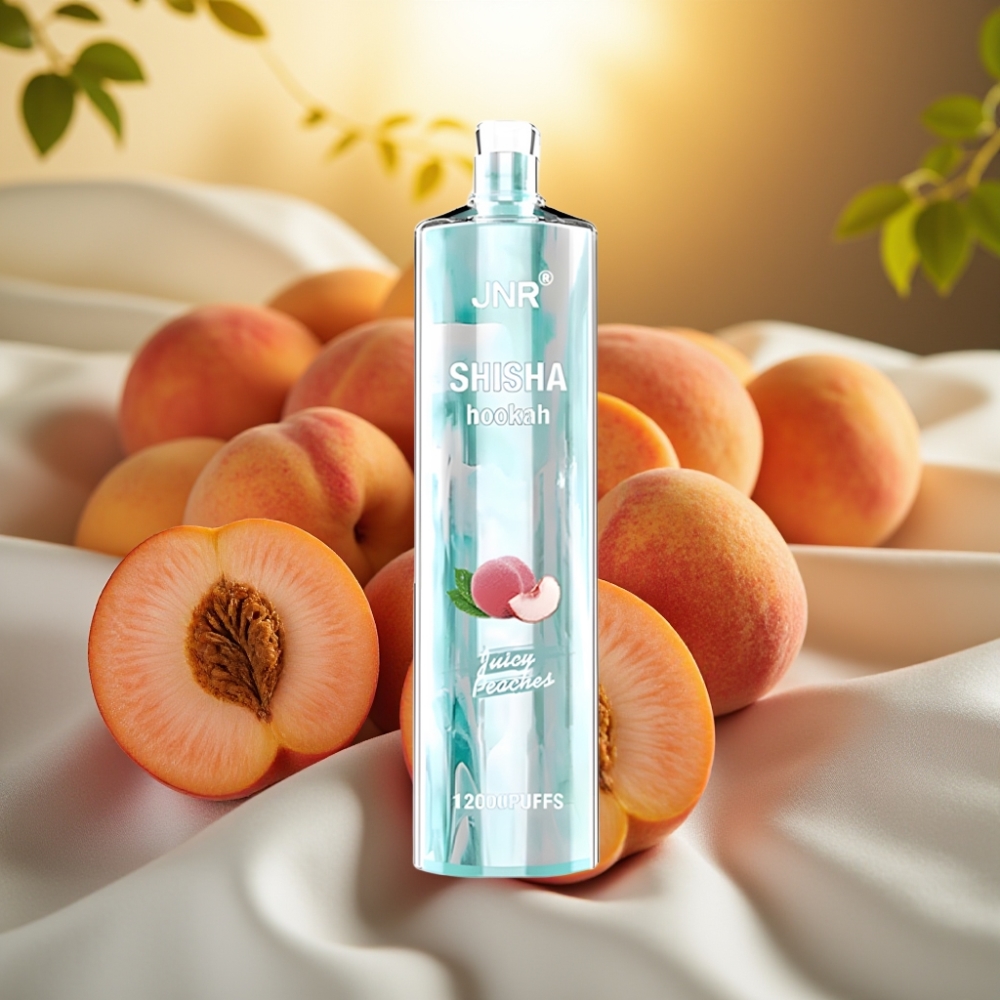 JNR Shisha Hookah 12000 Puffs Pêches Juteuses 24ml 750mAh 0.6Ohm