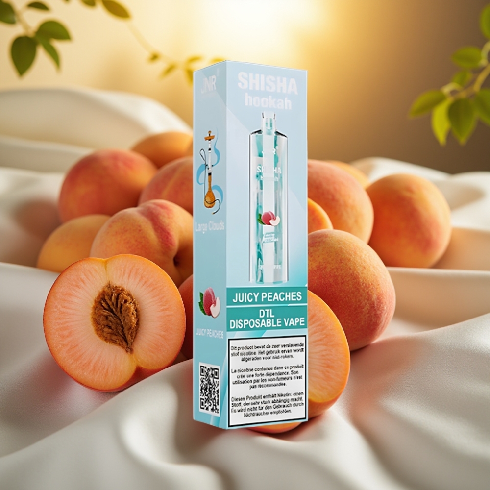 JNR Shisha Hookah 12000 Puffs Pêches Juteuses 24ml 750mAh 0.6Ohm