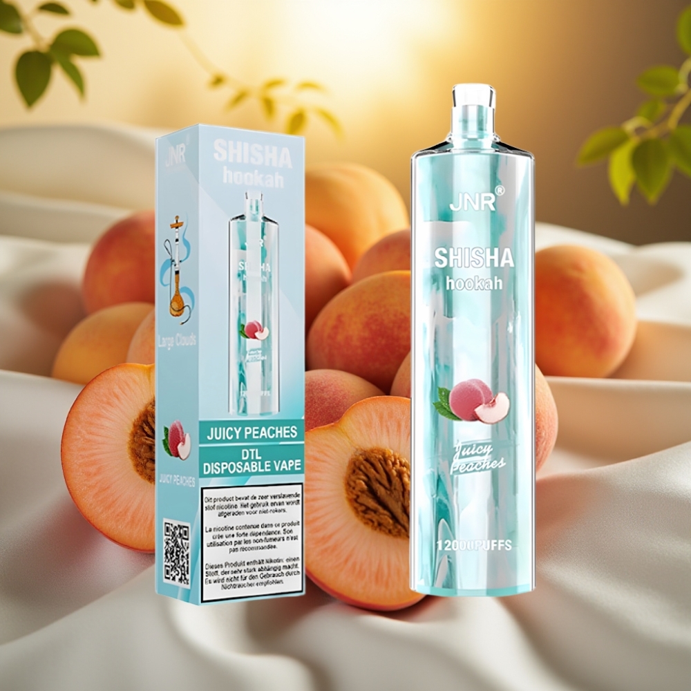 JNR Shisha Hookah 12000 Puffs Pêches Juteuses 24ml 750mAh 0.6Ohm