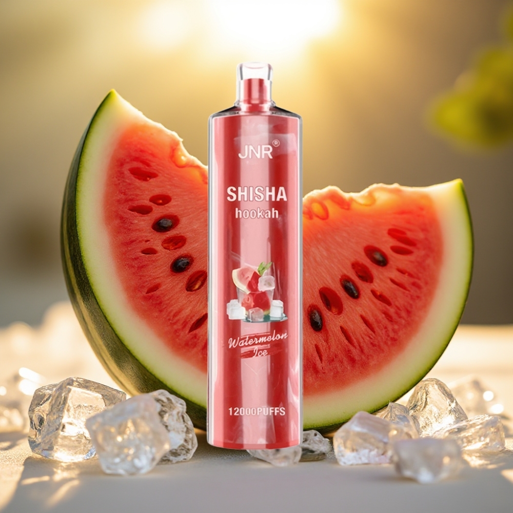 JNR Shisha Hookah 12000 Puffs Pastèque Glacée 750mAh 24ml 0.6 Ohm
