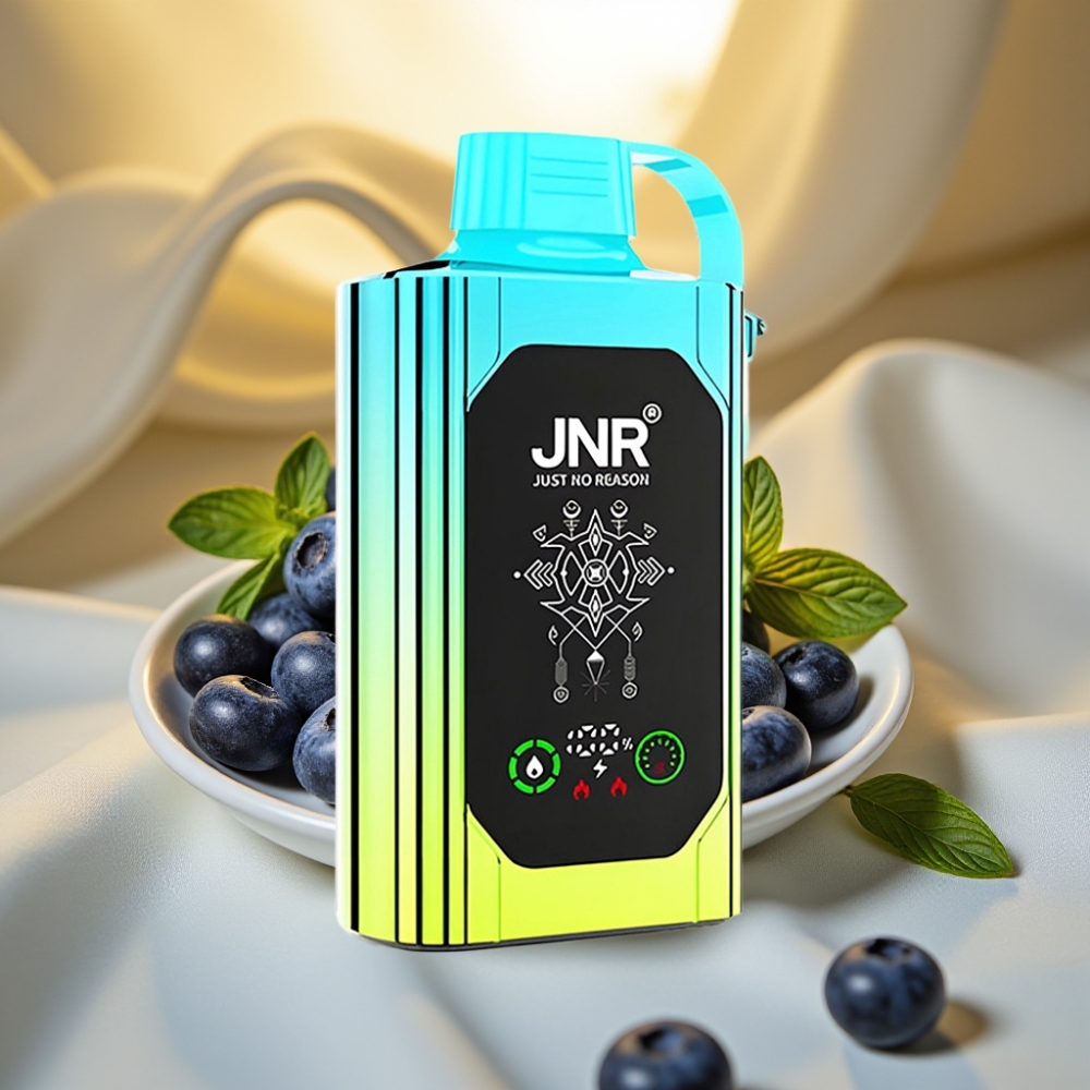 JNR Shisha Hookah Box 20500 Puffs Disposable Vape Myrtille Menthe - 25ml, 1000mAh, Dual Mesh Coil