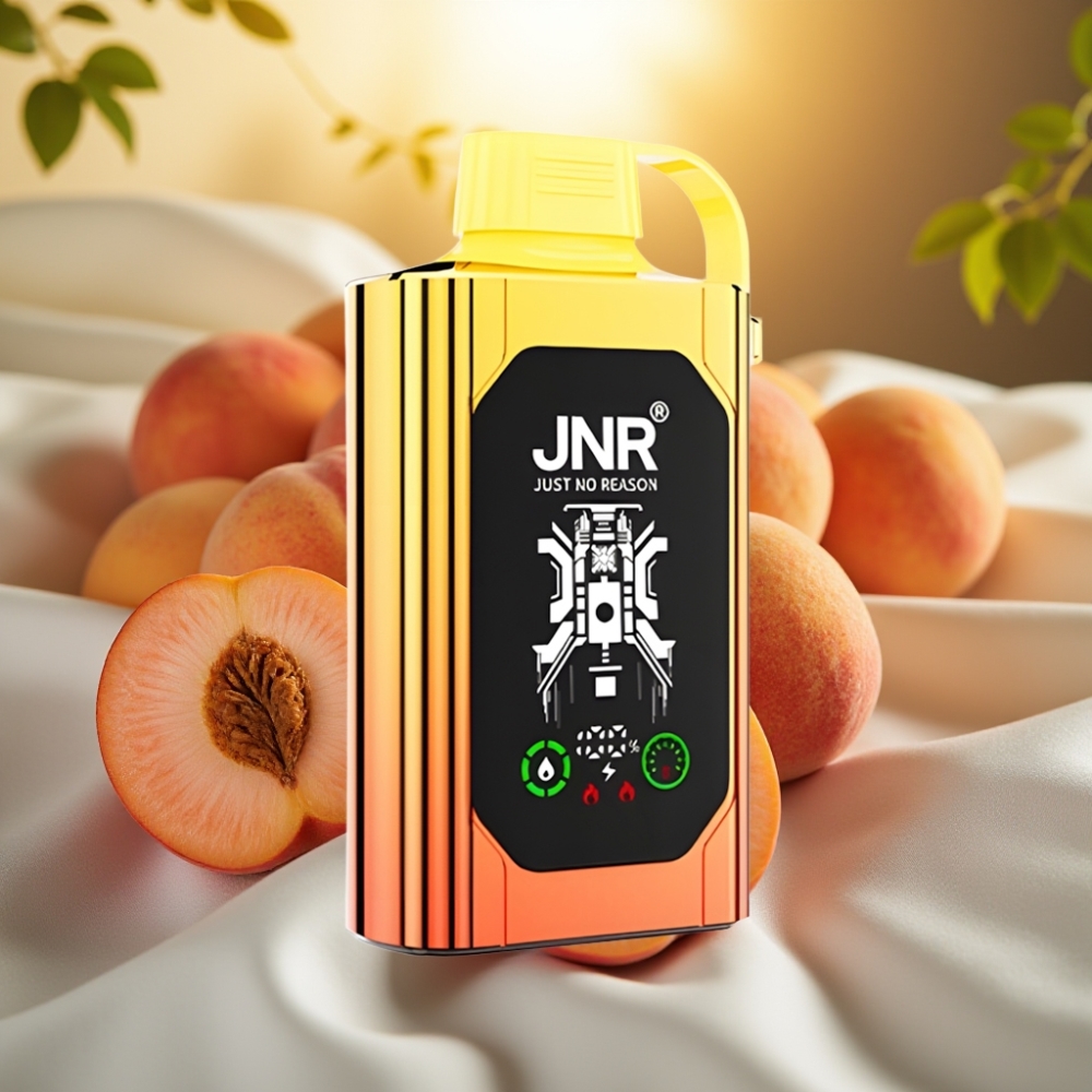 JNR Shisha Hookah Box 20500 Puffs - Écran HD, 25ml, Double Mesh, Type-C, Pêches Juteuses