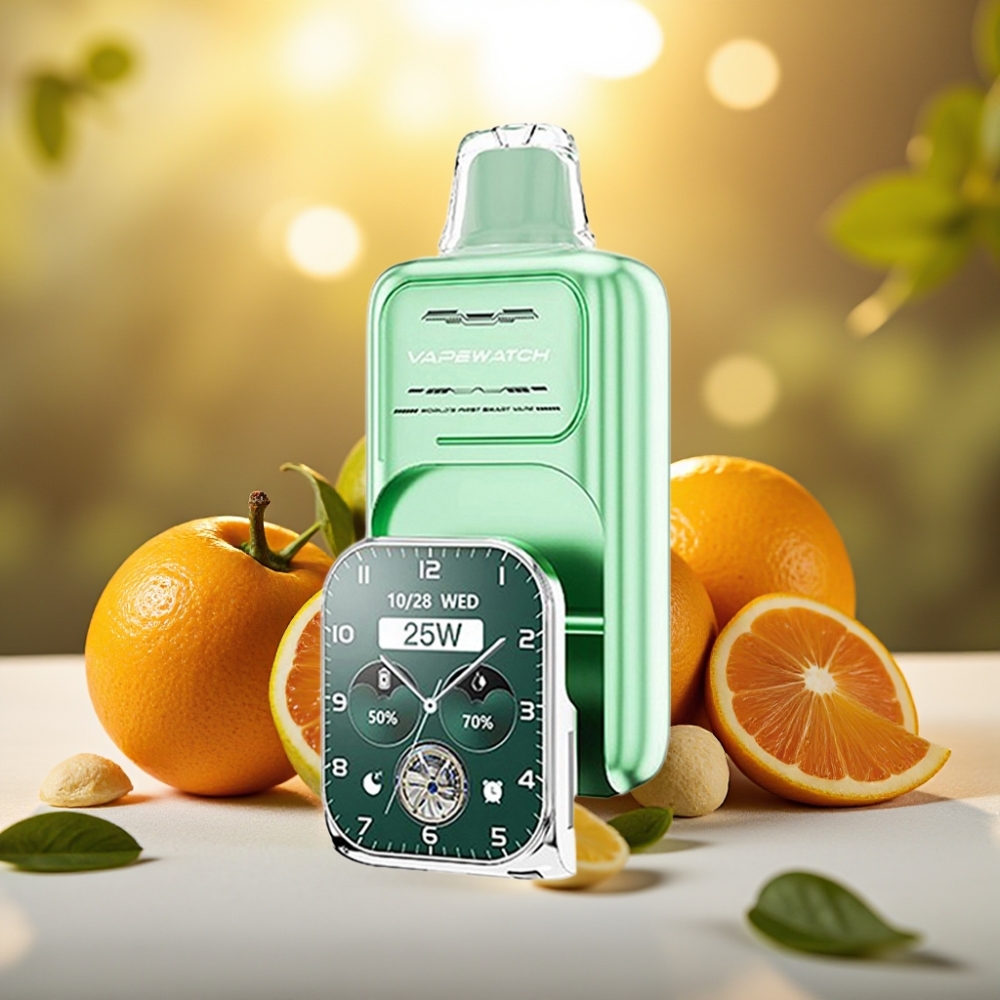 JNR VapeWatch 30000 Puffs - 1000mAh, 19mL, 5%, Miami Menthe