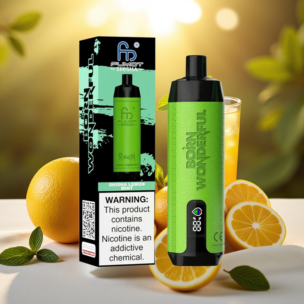 RandM Fumot Shisha 10000 Puffs - Citron Menthe Chicha, 18ml, 0.5% Nicotine