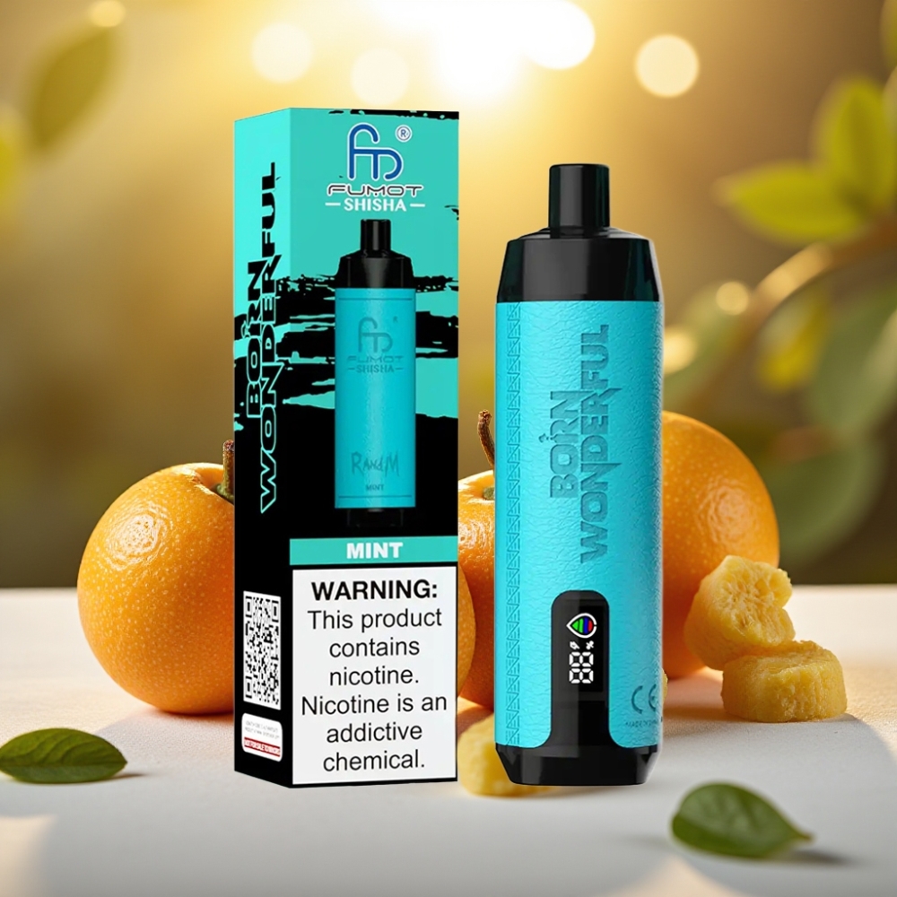 RandM Fumot Shisha 10000 Puffs Disposable Vape Menthe - 18ml, 0.6ohm, Type-C