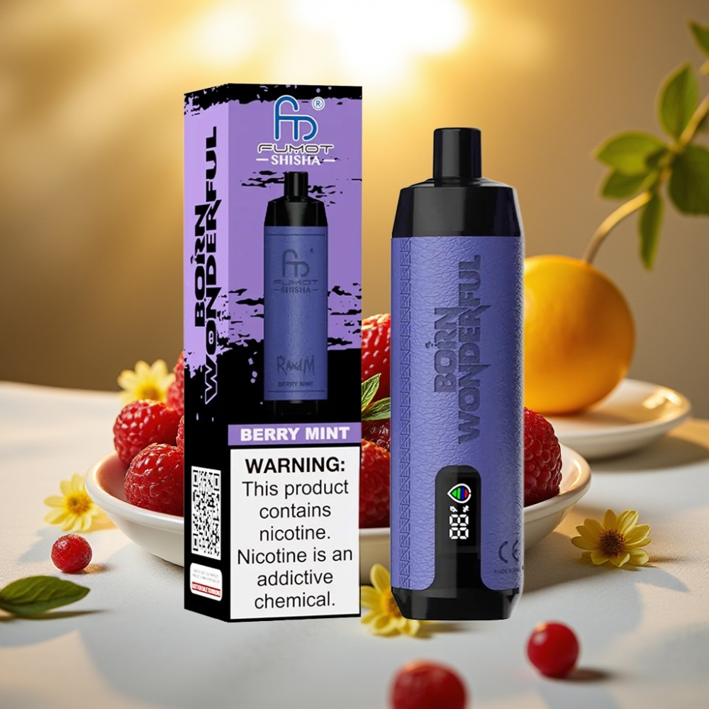 RandM Fumot Shisha 10000 Puffs Disposable Vape Menthe Baies - 18ml, 0.6ohm, Type-C