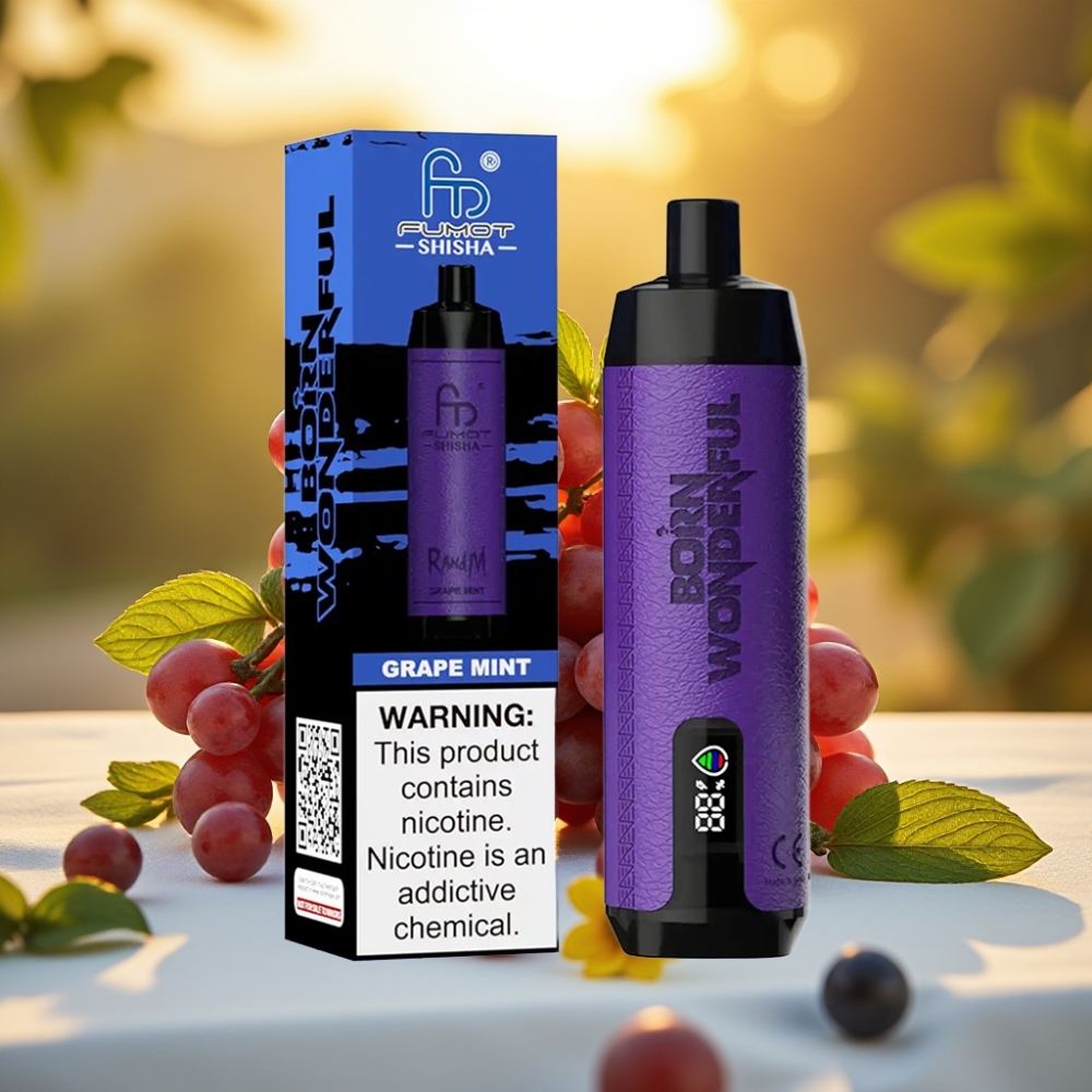 RandM Fumot Shisha 10000 Puffs Disposable Vape Raisin Menthe – 18ml, 850 mAh, 0.6ohm
