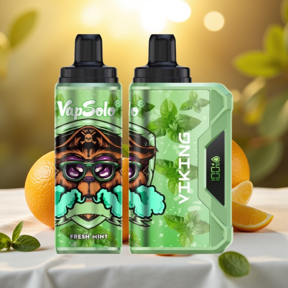 VapSolo VIKING 12000 Puffs Disposable Vape Menthe Fraîche – 22ml, 20/50 mg/ml, Type-C