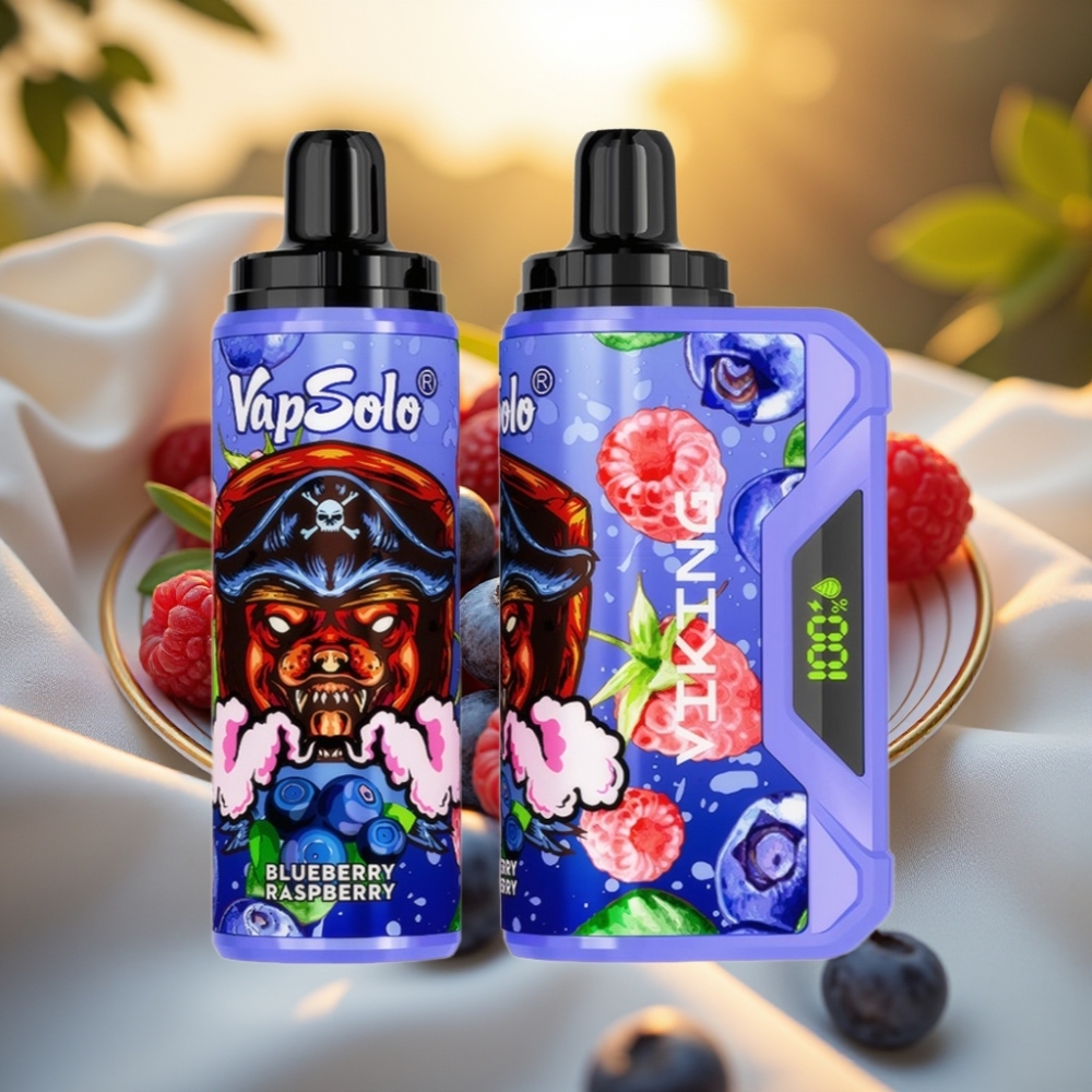 VapSolo VIKING 12000 Puffs Disposable Vape Myrtille Framboise, 22ml, 20/50 mg/ml, Type-C
