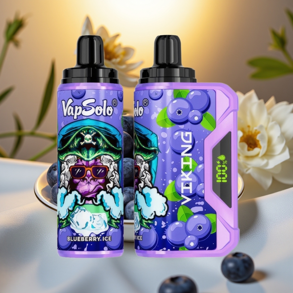 VapSolo VIKING Myrtille 12000 Puffs 22ml 20/50mg Type-C