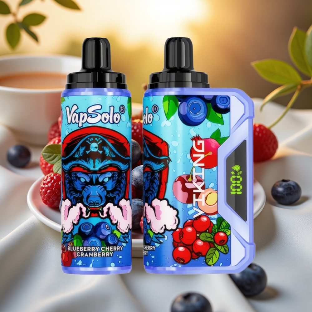 VapSolo VIKING Myrtille Cerise Canneberge 12000 Puffs 22ml Type-C