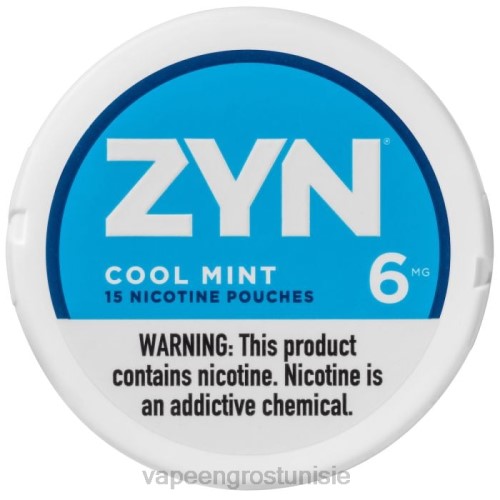 Cigarette Électronique Prix Tunisie - menthe fraîche NHPL16 ZYN sachet de nicotine 6mg