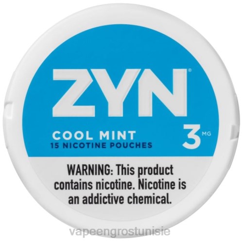 Cigarette Électronique Prix Tunisie - menthe fraîche NHPL26 ZYN sachet de nicotine 3mg
