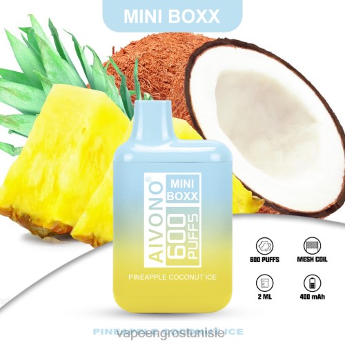 glace à l'ananas et à la noix de coco