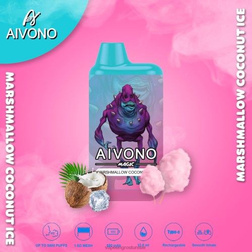glace à la guimauve et à la noix de coco